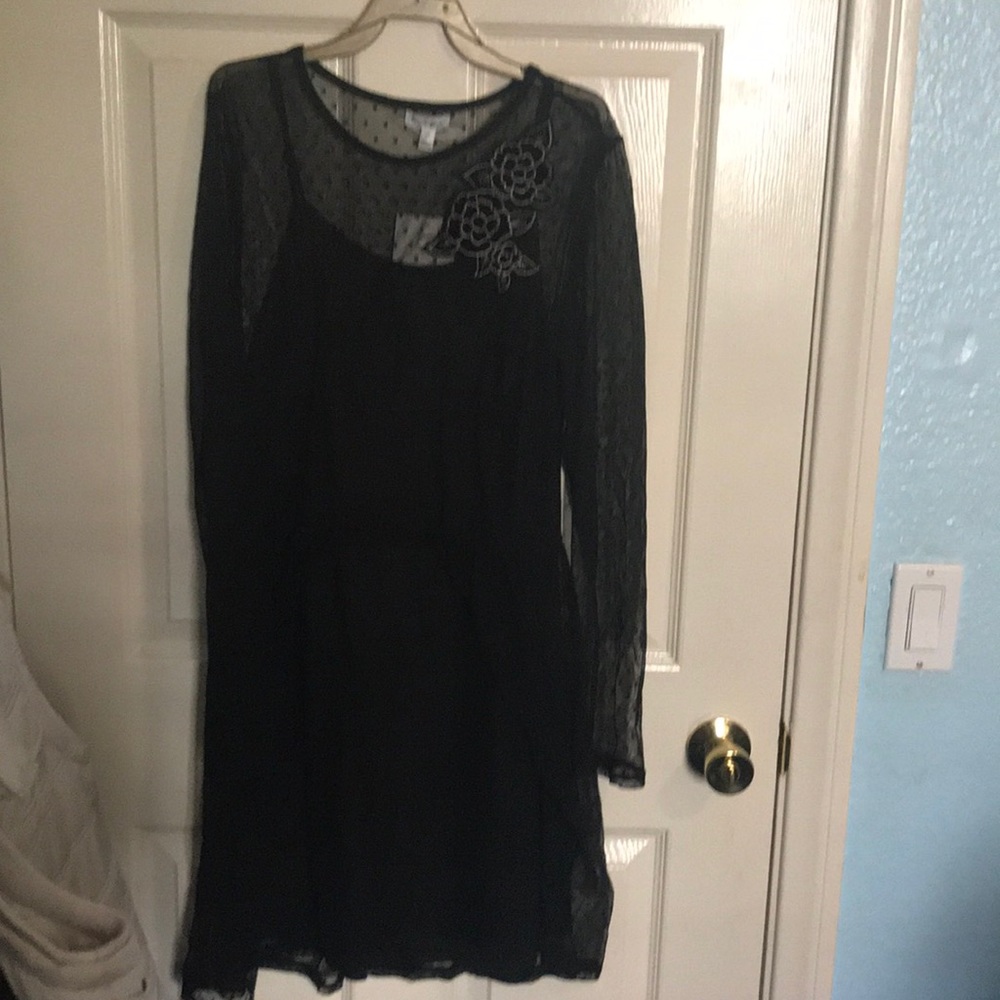 Mesh/Sheer Black dress